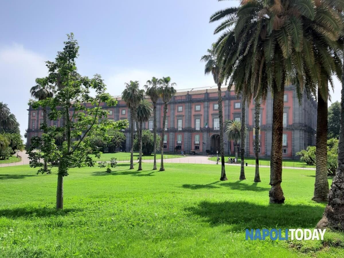 Apartamento La Casita Nel Bosco Nápoles Exterior foto